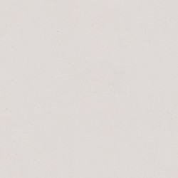 Porcelanico PALOMASTONE SILVER RECTIFICADO 120x120 DE TAU