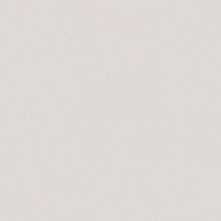 Porcelanico PALOMASTONE SILVER RECTIFICADO 120x120 DE TAU